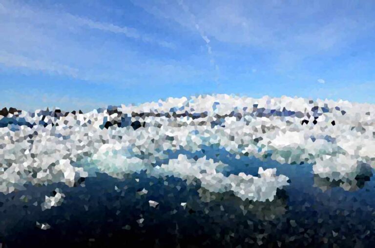 The Future of Sustainable Agriculture