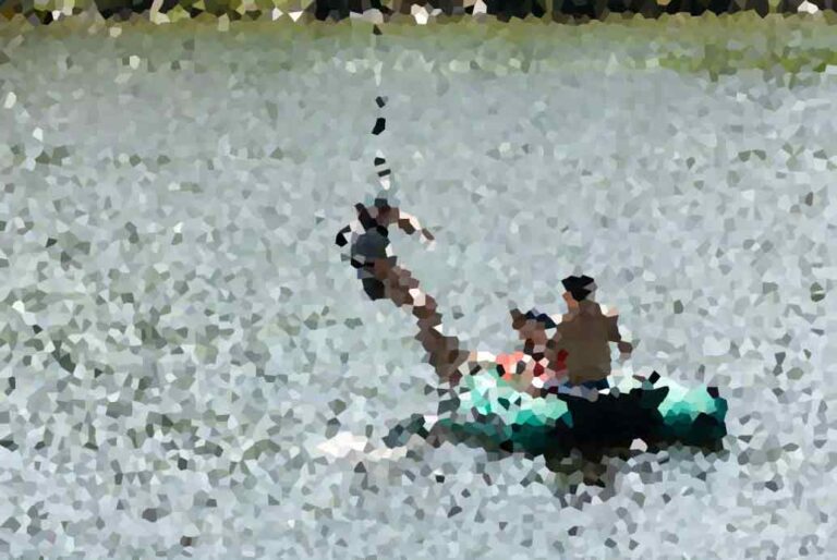 How to Support Environmental Conservation Efforts