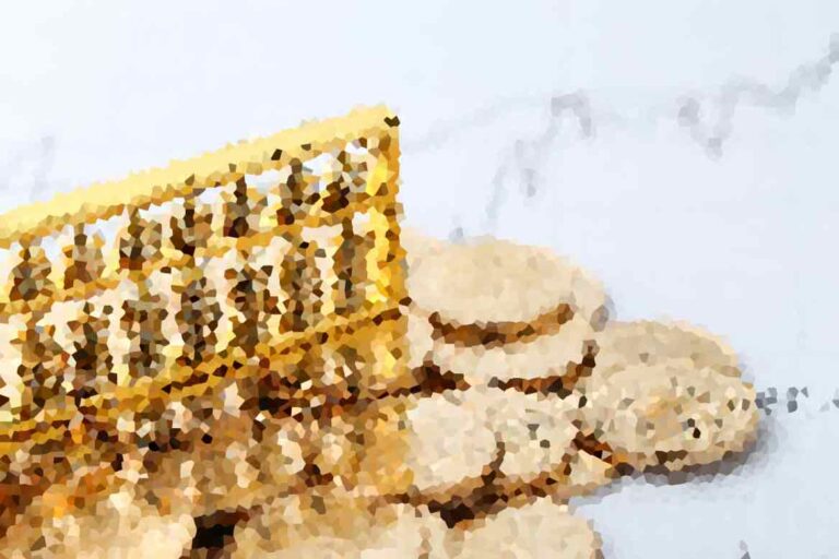 Understanding Credit Scores and How to Improve Them