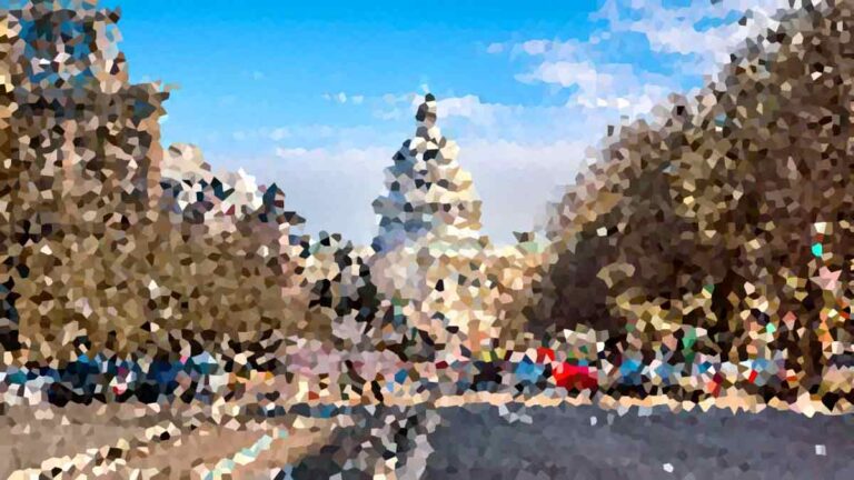 The Role of Media in Modern Politics