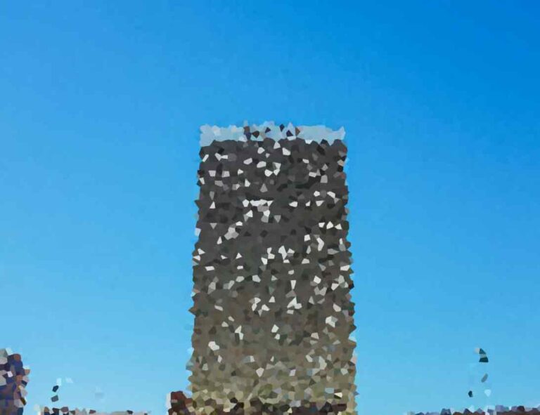 The Role of the Judiciary in the Political System