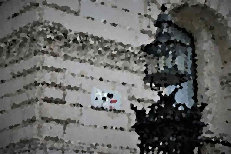 The Impact of Social Media on Political Campaigns